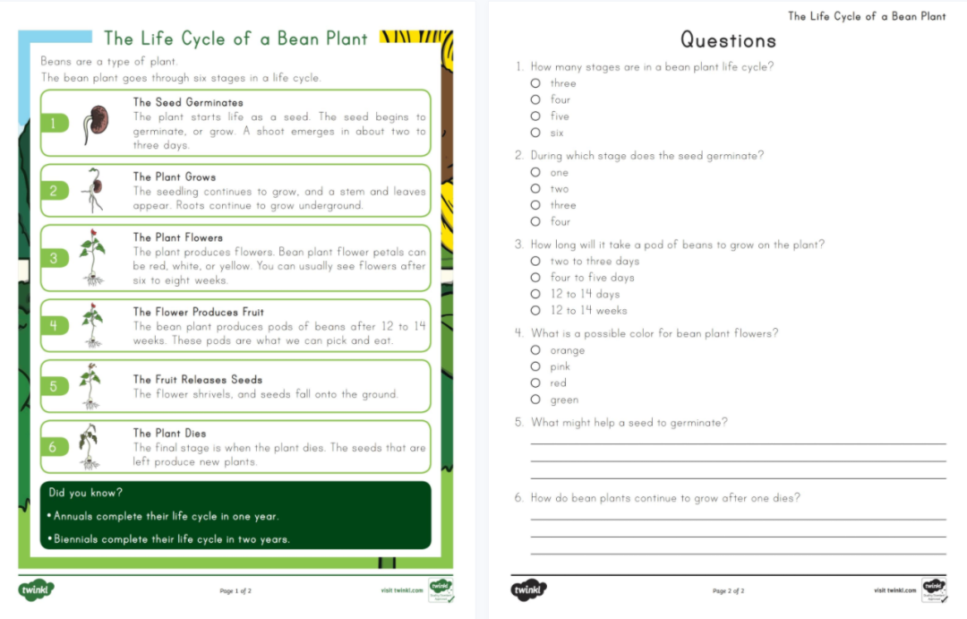 免费资源：Twinkl儿童科普大合集！PPT课件+精美练习纸，自然实践满分