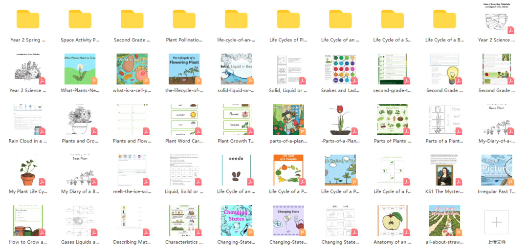 免费资源：Twinkl儿童科普大合集！PPT课件+精美练习纸，自然实践满分