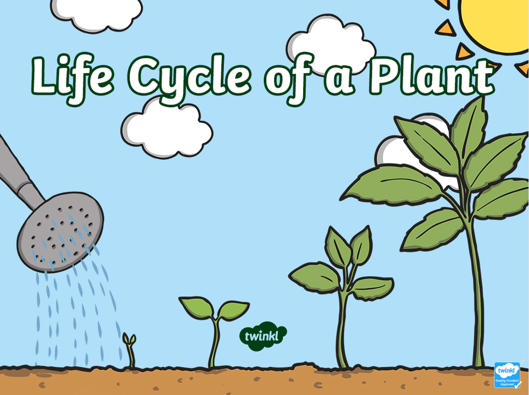 免费资源：Twinkl儿童科普大合集！PPT课件+精美练习纸，自然实践满分