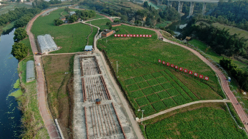 仓库展示 | 3000W＋钵钵鸡销售量的背后是ok138cn太阳集团强大的仓储支持