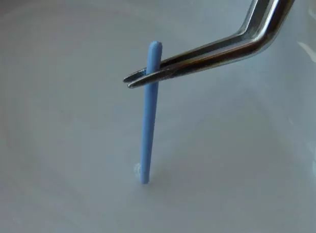 牙胶尖什么颜色正确选择处理主牙胶尖_https://www.jmylbn.com_新闻资讯_第10张