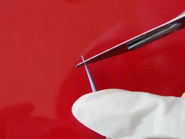 牙胶尖什么颜色正确选择处理主牙胶尖_https://www.jmylbn.com_新闻资讯_第7张