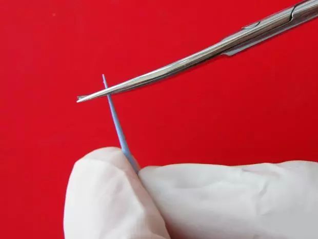 牙胶尖什么颜色正确选择处理主牙胶尖_https://www.jmylbn.com_新闻资讯_第9张