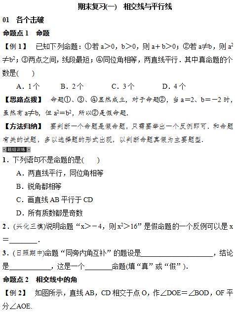 初中数学 七年级数学下册1 3章节知识点复习 初中