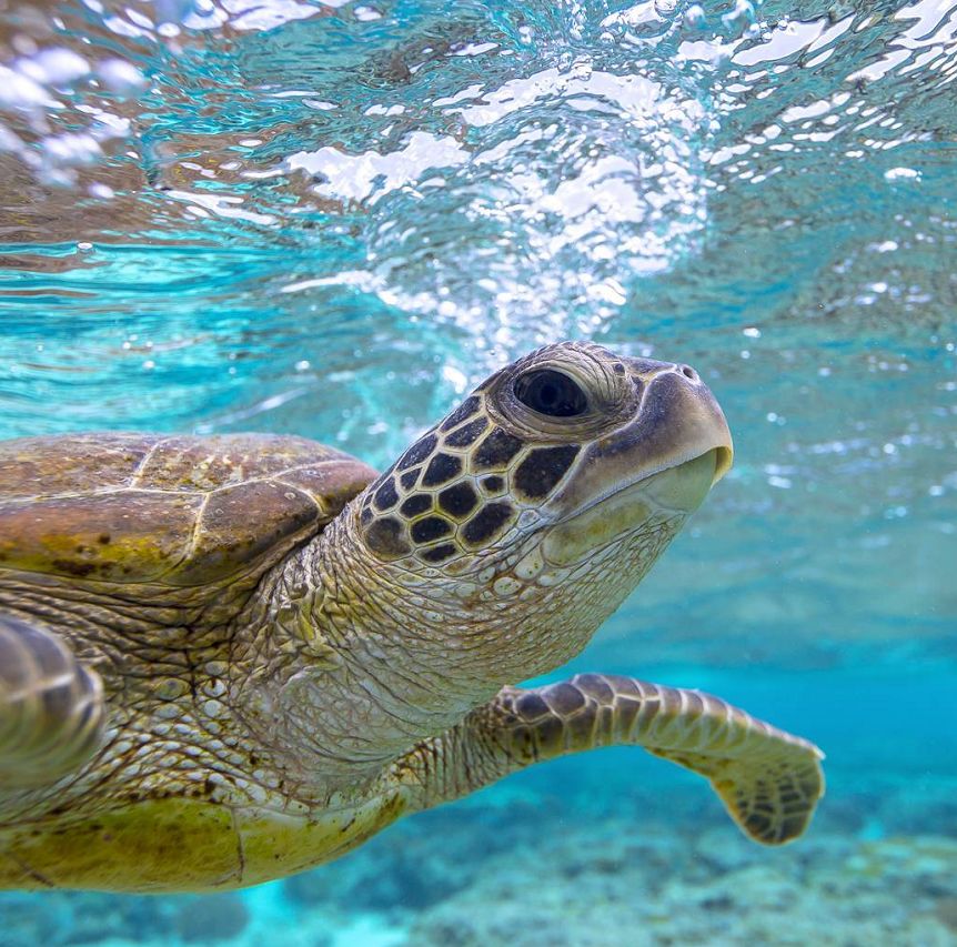 游仄易遠晨播報：《仁王2》TGS預報 基努現身《賽專朋克2077》TGS展臺