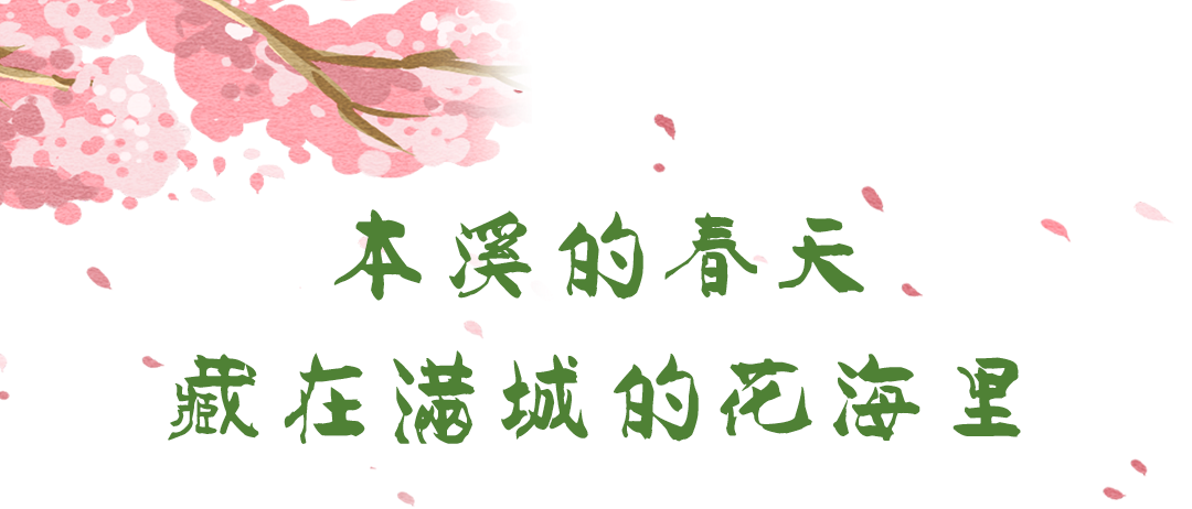 微信图片_20260402094243.png