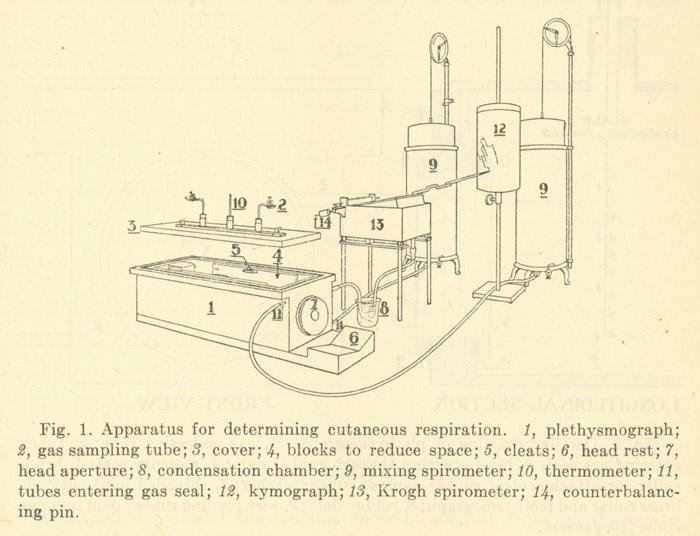 人为什么自动呼吸机​  活在柜子里的人，从铁肺到呼吸机的诞生_https://www.jmylbn.com_新闻资讯_第4张