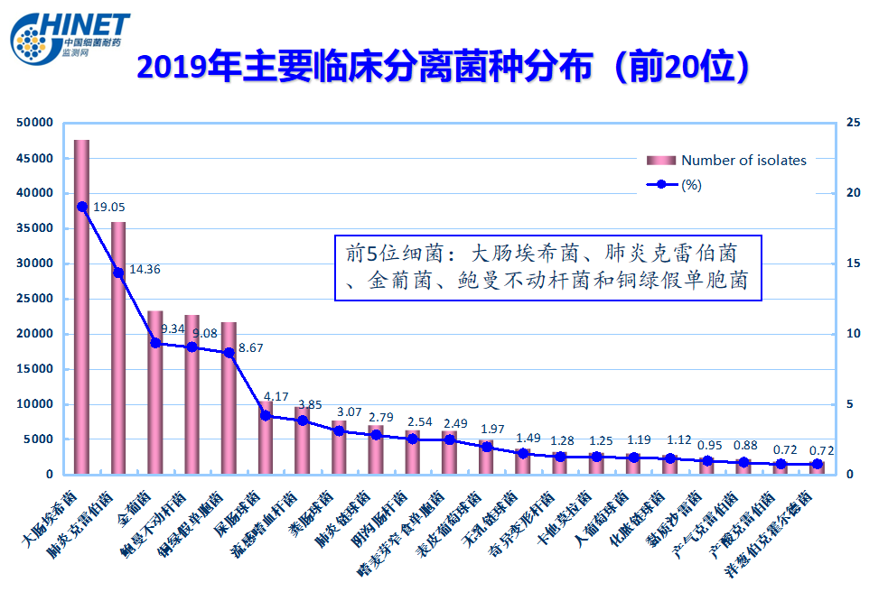 抗生素耐藥創新高，未來細菌感染還有救嗎？ 健康 第4張