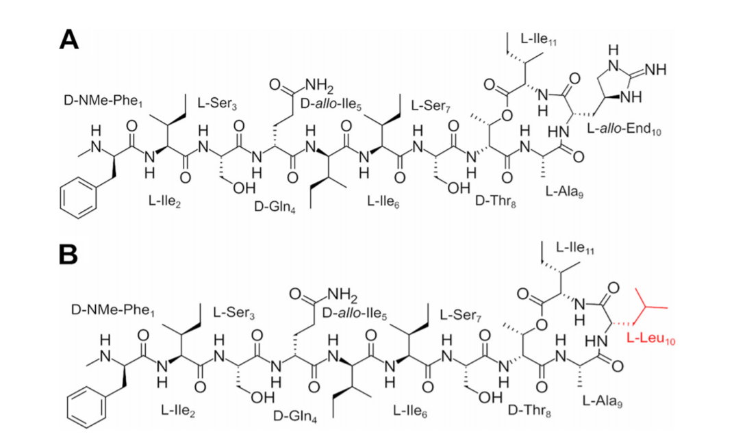 抗生素耐藥創新高，未來細菌感染還有救嗎？ 健康 第9張