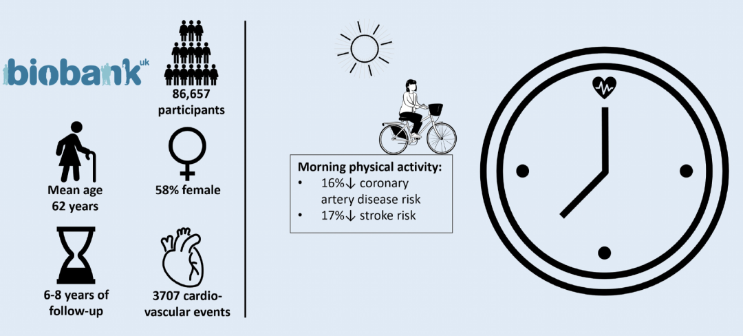 減肥運動有哪些_減肥運動的最佳時間_運動減肥
