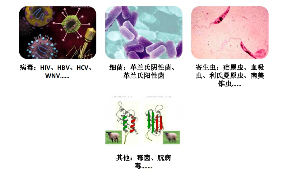 为什么要加热输血科普｜输血传播病原体的灭活技术 1_https://www.jmylbn.com_新闻资讯_第4张