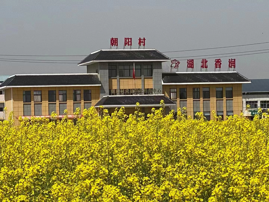 打好"乡贤 "组合牌,绘就和美乡村新画卷