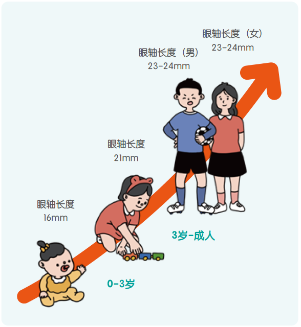 儿童保健电脑怎么用《儿童青少年防控近视系列手册》——小学生篇_https://www.jmylbn.com_新闻资讯_第2张
