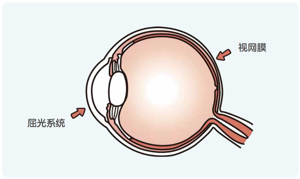 儿童保健电脑怎么用《儿童青少年防控近视系列手册》——小学生篇_https://www.jmylbn.com_新闻资讯_第5张