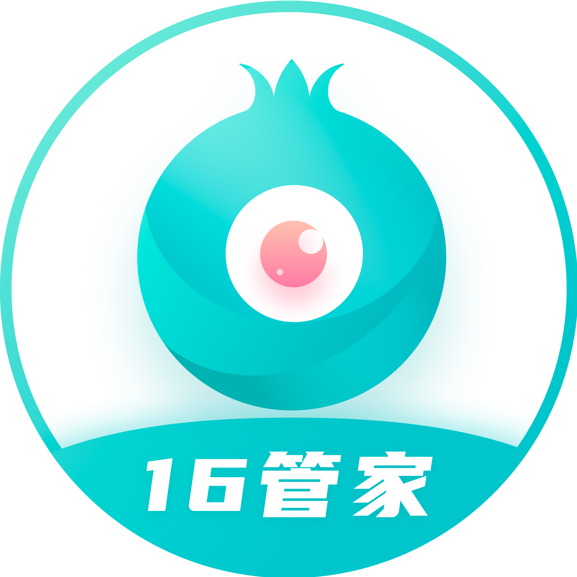 北京卷心菜科技有限公司