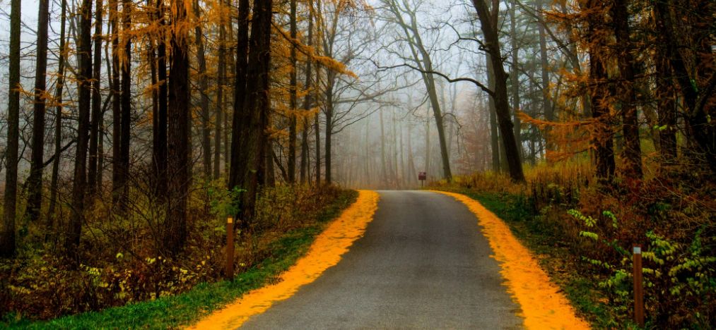 人生修行九品，品品重要！