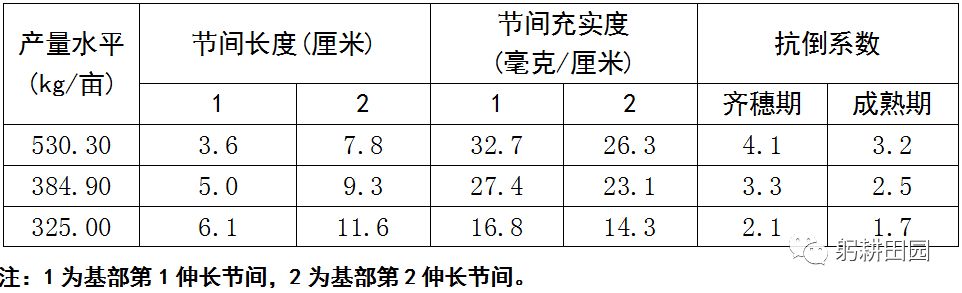 江淮東部稻麥週年