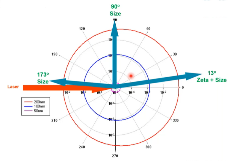 使用纳米粒度仪表征纳米乳液的粒度分布