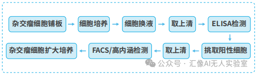 告别低效重复：智能杂交瘤筛选自动化系统，重塑抗体药物研发新范式