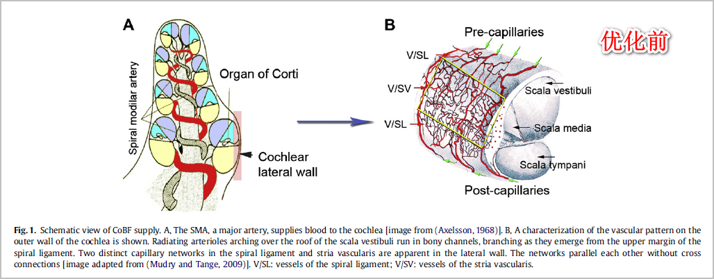免费资源丨一款小巧简单但实用的良心软件