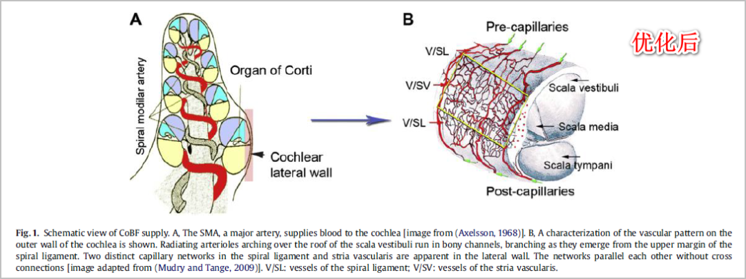 免费资源丨一款小巧简单但实用的良心软件