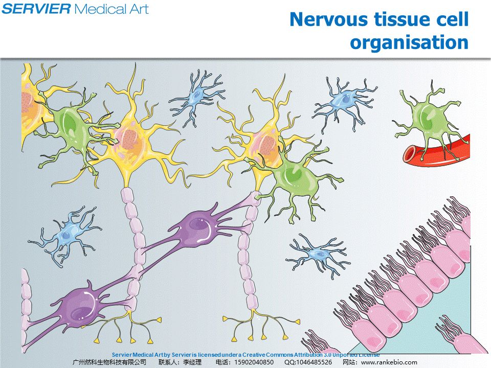 免费资源丨8G PPT资源免费领取