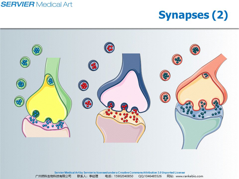 免费资源丨8G PPT资源免费领取