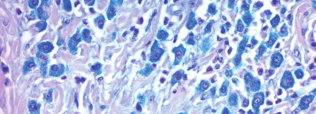 上皮细胞用什么染色组织切片染色方法大全_https://www.jmylbn.com_新闻资讯_第3张