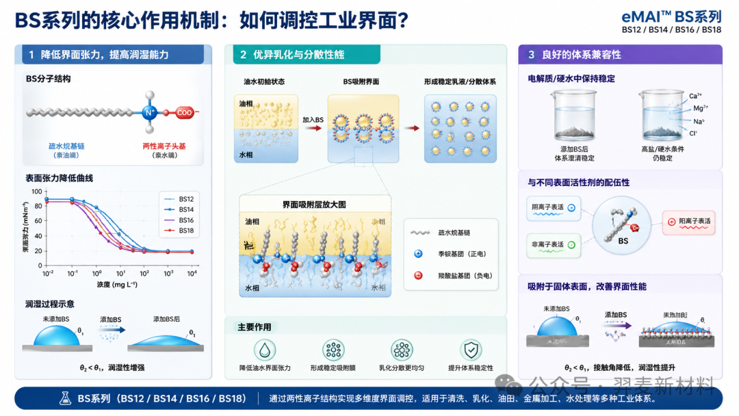 BS发挥功能的核心作用机制图
