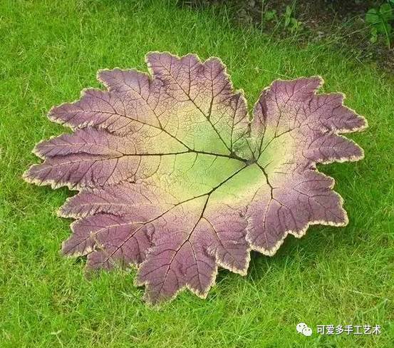 Diy吧丨撿了幾片大大的葉子 用水泥鋪在上面 晾乾之後竟然美翻了眾人 附教程 創意社 微文庫