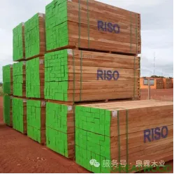 Greatwood Holdings Limited 图片