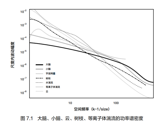 宇宙和世界真的是虚拟的吗？  第2张