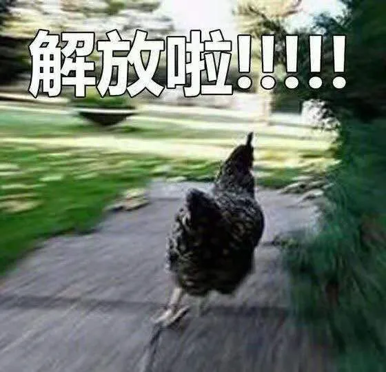 寒假宅家怕孩子犯懒?教你与孩子规划假期时间,学琴放松两不误 寒假宅家怕孩子犯懒?教你与孩子规划假期时间,学琴放松两不误