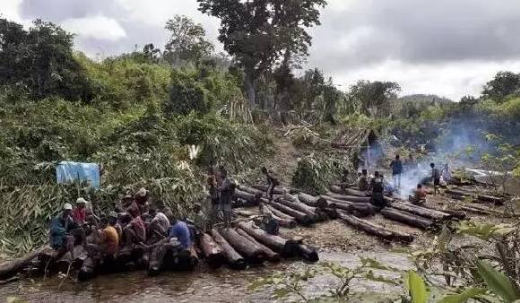 红木十年行情对比 请珍惜现在的红木！