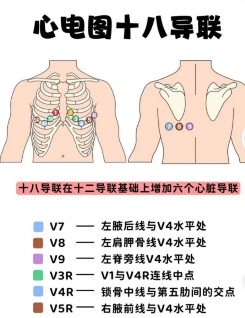十二道心电图怎么检查胸痛心慌查心电图？12导联or18导联，医生教您精准选_https://www.jmylbn.com_新闻资讯_第5张