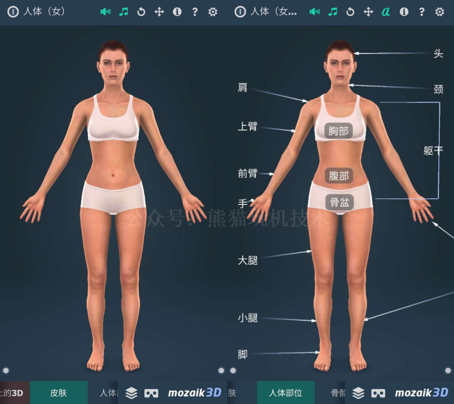 「人体系统3D版」一款小众但质量非常高的软件，了解人体的软件(图4)