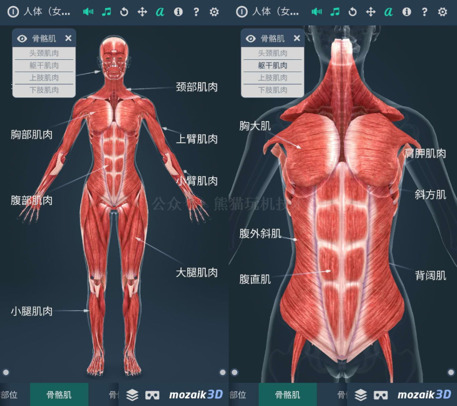 「人体系统3D版」一款小众但质量非常高的软件，了解人体的软件(图7)
