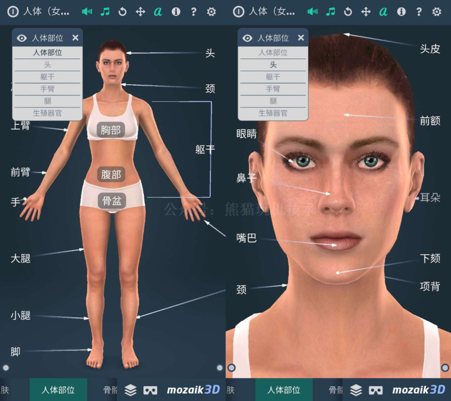 「人体系统3D版」一款小众但质量非常高的软件，了解人体的软件(图5)