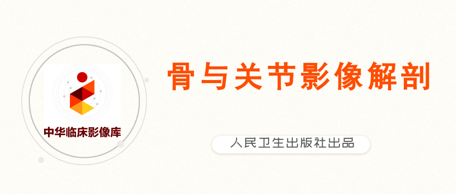 dr数字怎么用数字化X线摄影术（DR）_https://www.jmylbn.com_新闻资讯_第1张