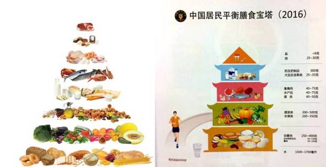 肺癌竟和高脂饮食有关？