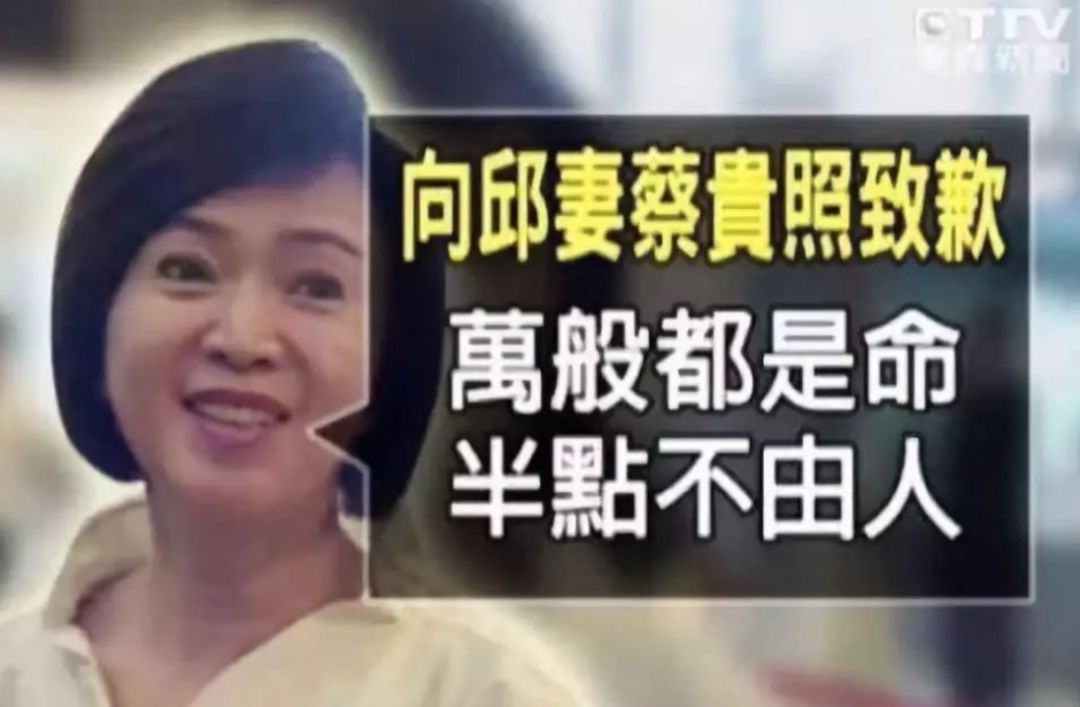 产子获5亿、当小三害正房跳楼，娱乐圈职业“捞女”们为上位可比奚贵妃狠多了（组图） - 42