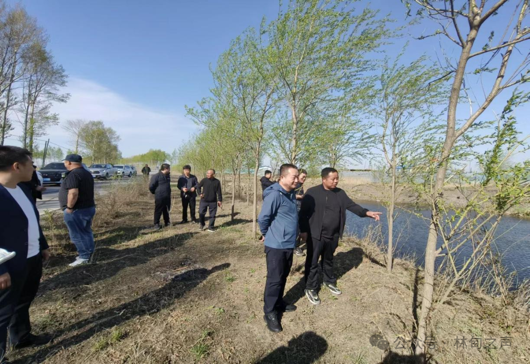 东兴乡开展人居环境整治拉练 - 林甸县人民政府