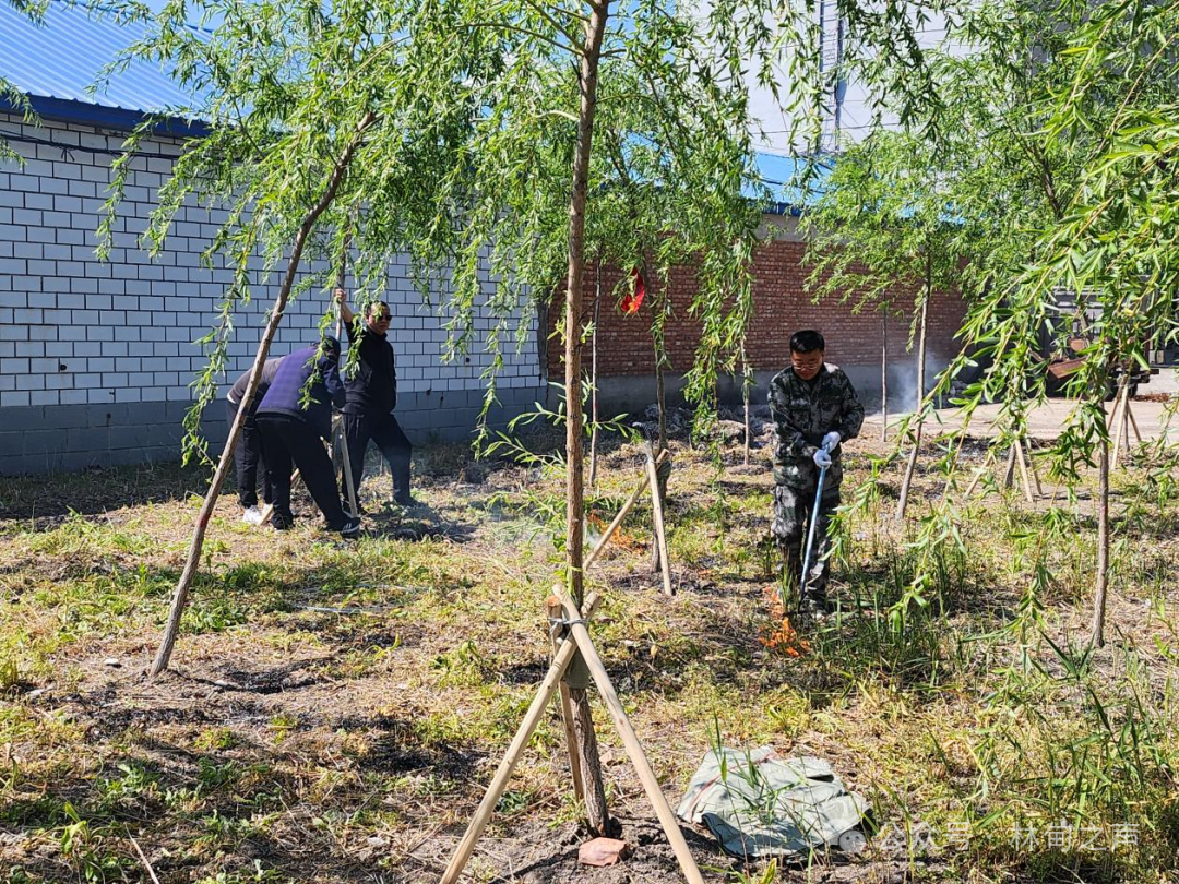 鹤鸣湖镇开展环境整治志愿服务活动 - 林甸县人民政府