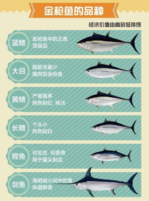 金枪鱼vs三文鱼谁才是刺身界一哥大家讲道理