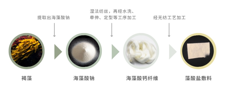 伤口酸是怎么回事科普 ｜ 什么？海带提取的东西还能敷伤口？_https://www.jmylbn.com_新闻资讯_第2张