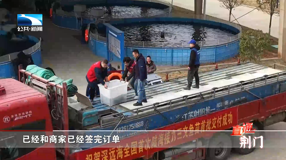 120万尾在养，总投超3.6亿，全国TOP5鲑鳟基地加速冲刺3000吨(图5)