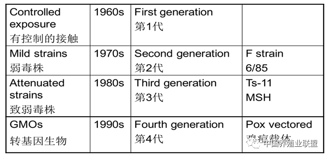 毕英佐：滑液囊支原体病(MS)的防控