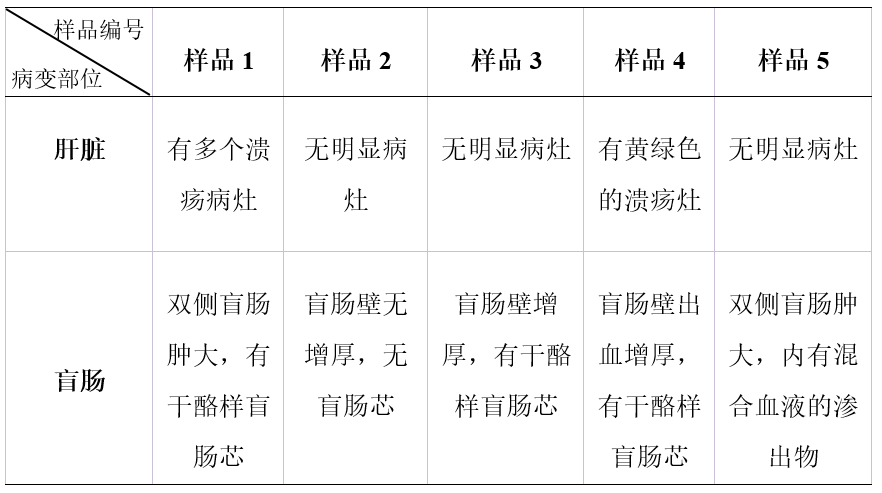 一例鸡组织滴虫的诊治