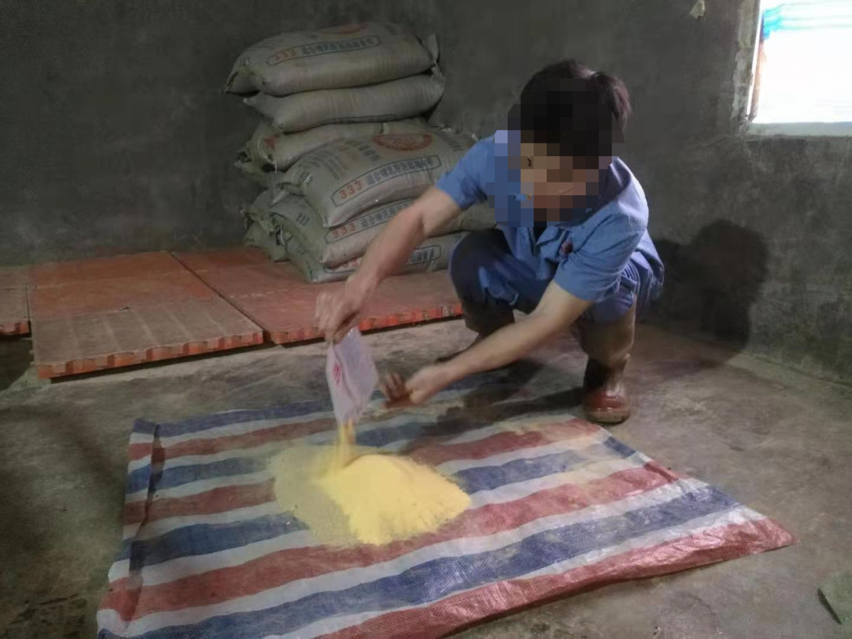 維生素—提升種豬繁殖性能的密鑰