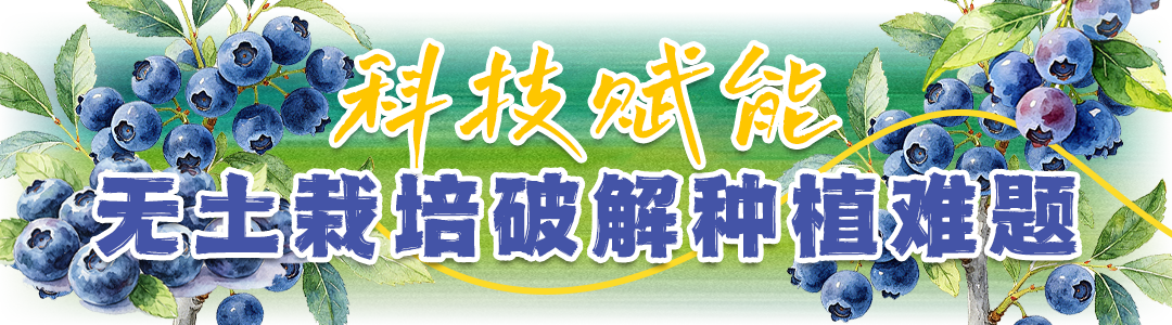 e4a9435c840a88c24bd060d9cc6eb6f6.png